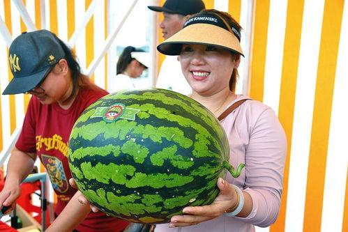 娱乐吃瓜网,吃瓜群众必看幕后故事